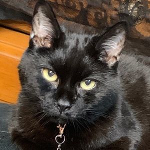 Meet your Posher, Katherine